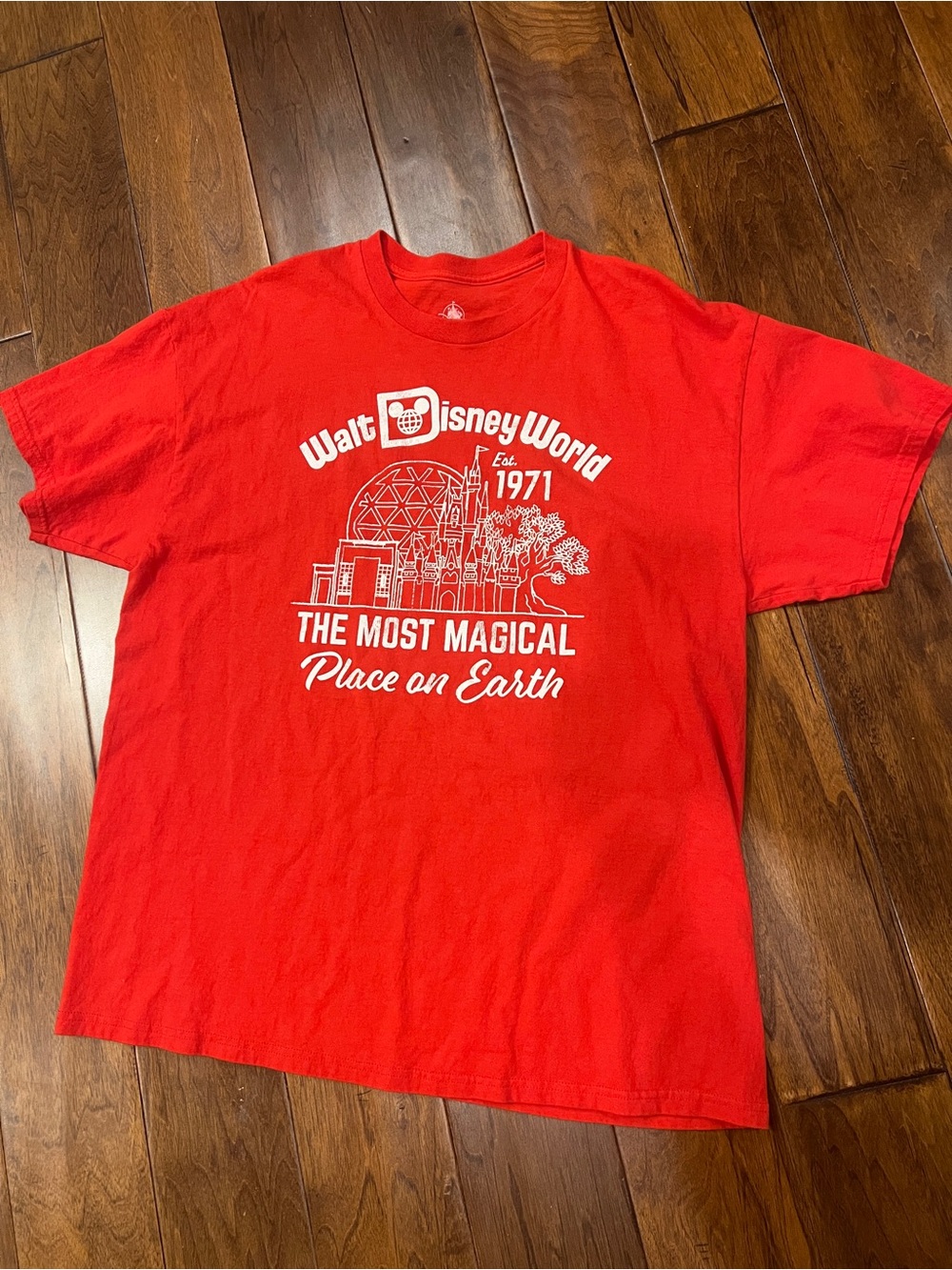 Disney World distressed park tshirt